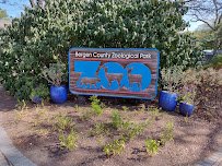 Van Saun County Park photo 6