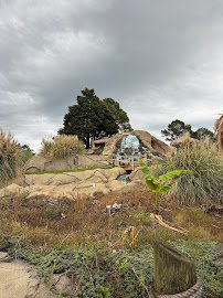 Shipwreck Golf photo 4