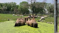 Red River Zoo photo 2