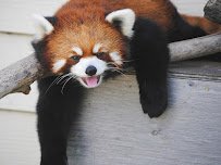 Red River Zoo photo 5