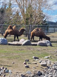 Red River Zoo photo 6