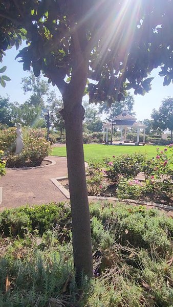 Edward-Dean Museum & Gardens photo 2