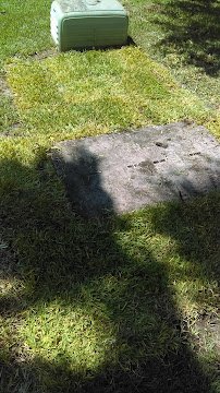 Ocean Floor Aquariums Inc photo 2