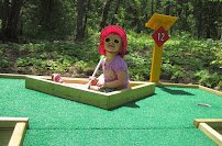 Into the Woods Mini Golf & Garden photo 5