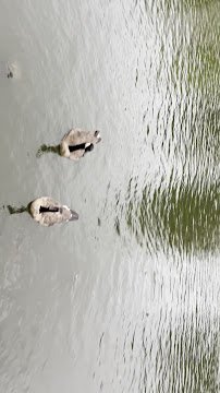 Super Silly Fun Land photo 4