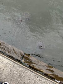 Super Silly Fun Land photo 5