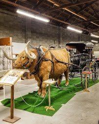 Polson Flathead Lake Museum photo 3