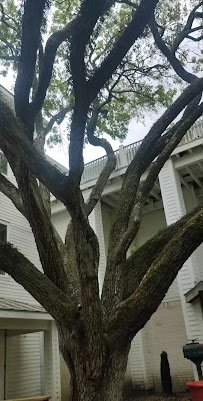 Butler Longhorn Museum photo 2