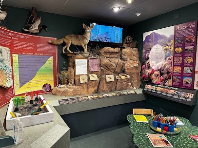Lake Havasu Museum of History photo 3