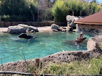 Simmons Hippo Outpost photo 3