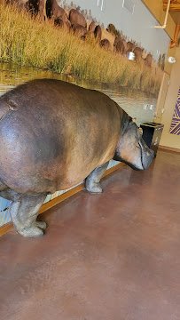 Simmons Hippo Outpost photo 6