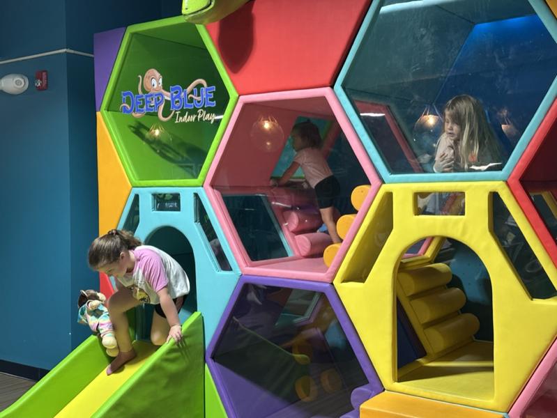 Deep Blue Indoor Play photo 6