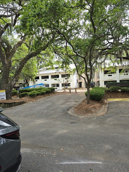 Hilton Head Escape Room photo 2