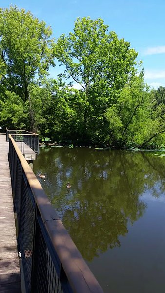 Lichterman Nature Center photo 2