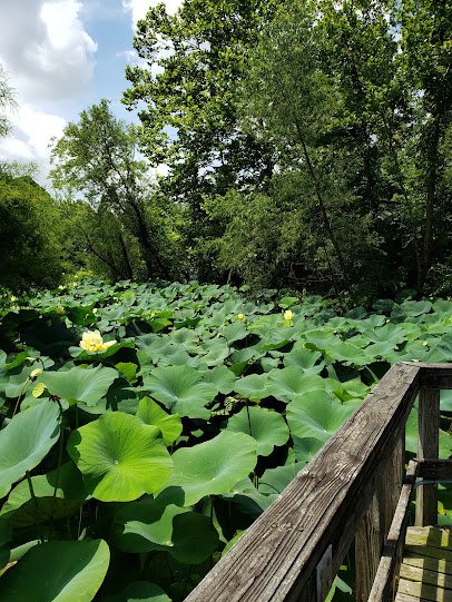 Lichterman Nature Center photo 4