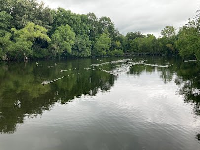 Lichterman Nature Center photo 5