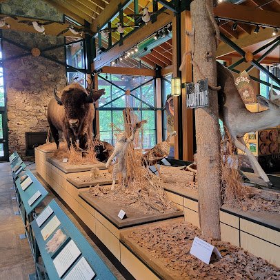 Lichterman Nature Center photo 6