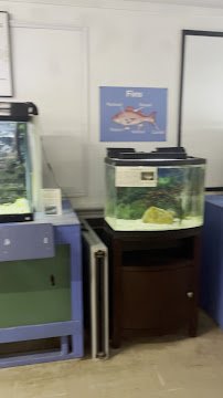 Biomes Marine Biology Center photo 2