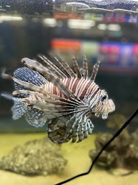 Biomes Marine Biology Center photo 6