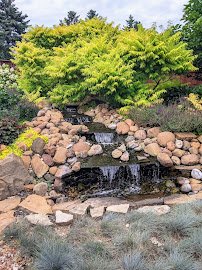Cedar Valley Arboretum & Botanic Gardens photo 5