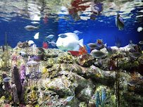 North Carolina Aquarium at Fort Fisher