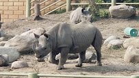 Blank Park Zoo photo 2