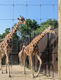 Blank Park Zoo photo 4