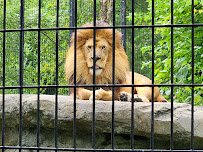 Blank Park Zoo photo 5