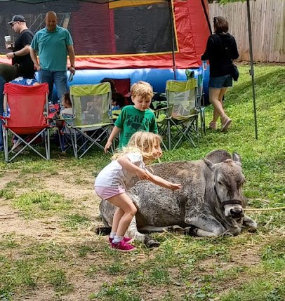 Heavenly Heart Farm & Mini Petting Zoo photo 2