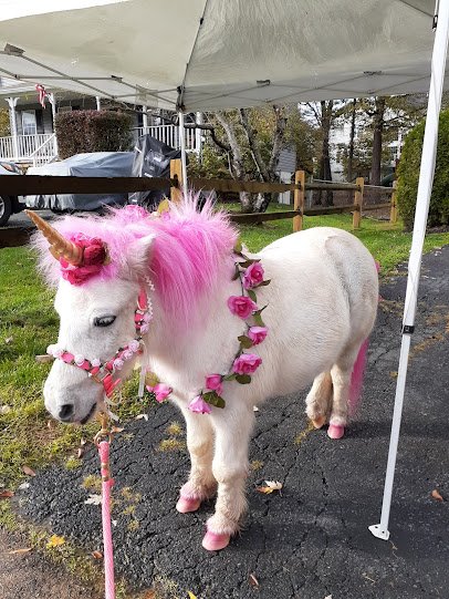 Heavenly Heart Farm & Mini Petting Zoo photo 3
