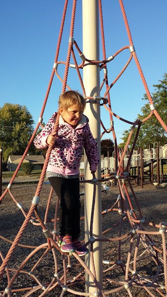 Cooley Park & Splash Pad photo 4