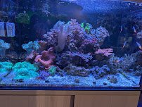 Modern Aquatix photo 3