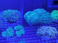 Modern Aquatix photo 4