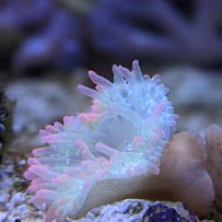 Modern Aquatix photo 5