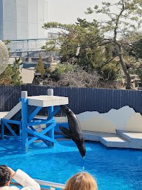 Ocean Wonders: Sharks! photo 3