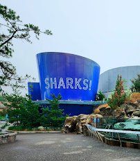 Ocean Wonders: Sharks! photo 6