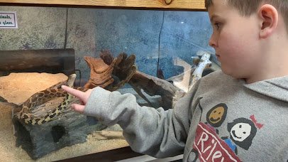 Dobbs Park Nature Center photo 2