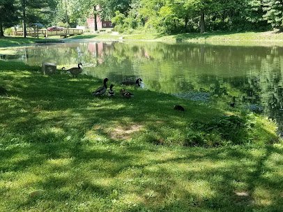 Dobbs Park Nature Center photo 4