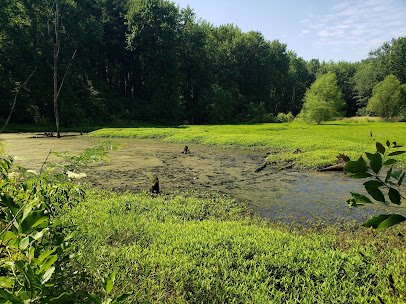 Dobbs Park Nature Center photo 6