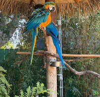 Santa Ana Zoo photo 4