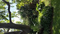 Deerfield Beach Arboretum photo 2
