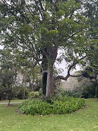 Deerfield Beach Arboretum photo 4