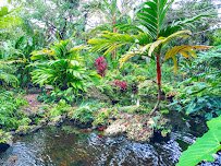 Deerfield Beach Arboretum photo 5