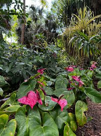 Deerfield Beach Arboretum photo 6