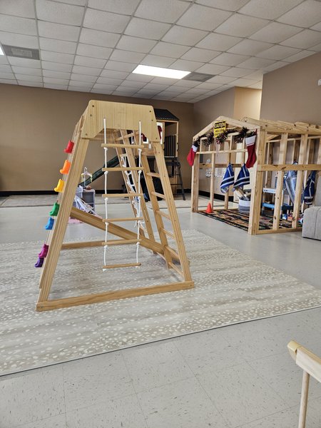 Wild Ones Playroom