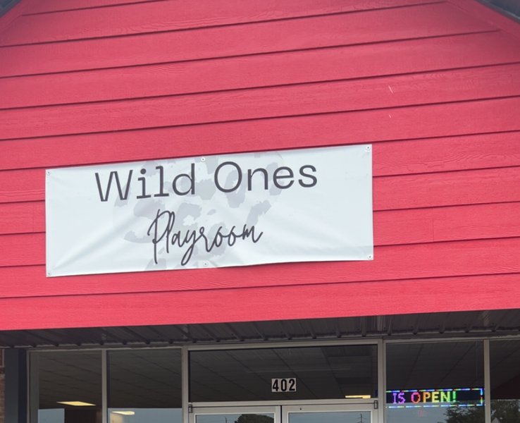 Wild Ones Playroom photo 4