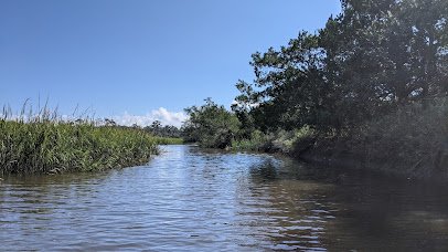 4-H Tidelands Nature Center photo 3