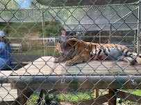 Little Ponderosa Zoo and Rescue photo 3