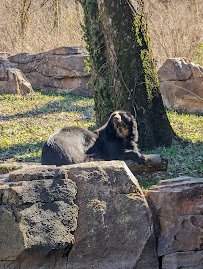 Nashville Zoo at Grassmere