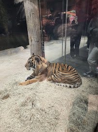 Nashville Zoo at Grassmere photo 6